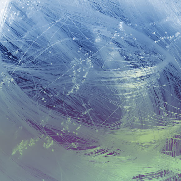 סיבי הניילון שעושים שרירים