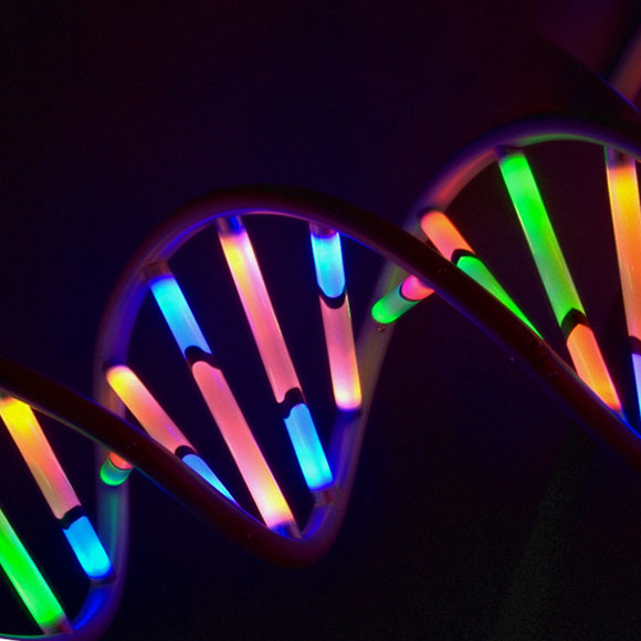 כשמדענים משחקים בבריאה