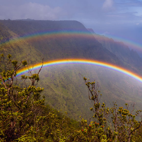 כל גוני הקשת