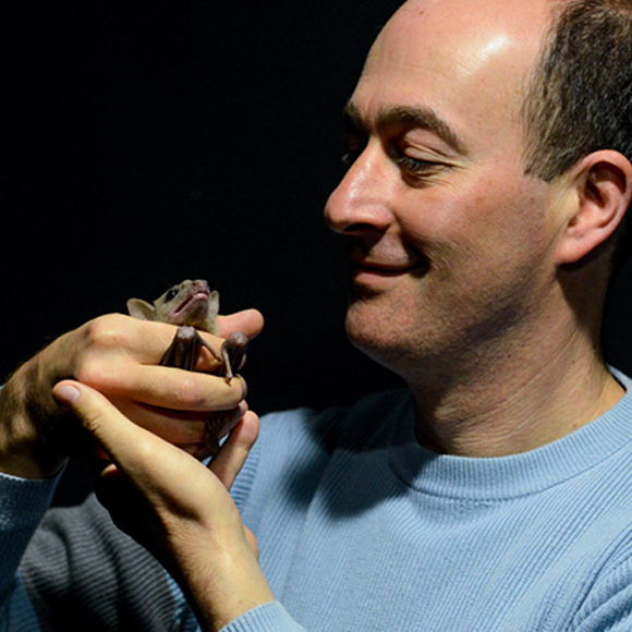 מחקר ישראלי גילה: איך אנו מנווטים