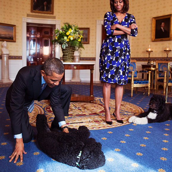 כל חיות הנשיא