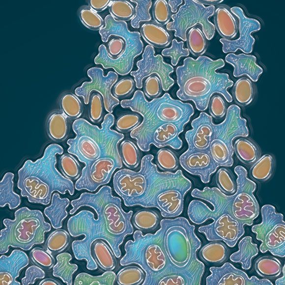 האלים הנורדיים ומוצא החיים המורכבים