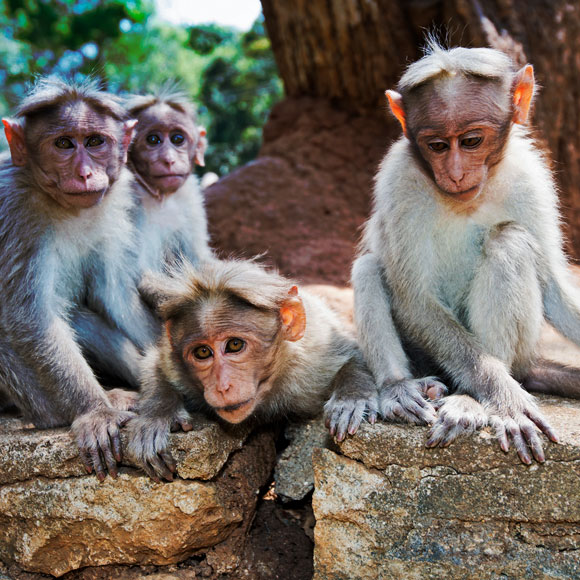 הקשר בין מעמד חברתי לבריאות