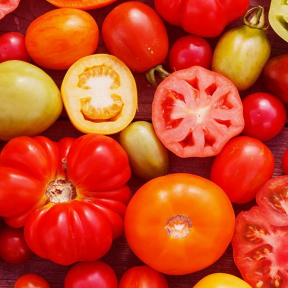 האם עגבניות מהמקרר פחות טעימות?