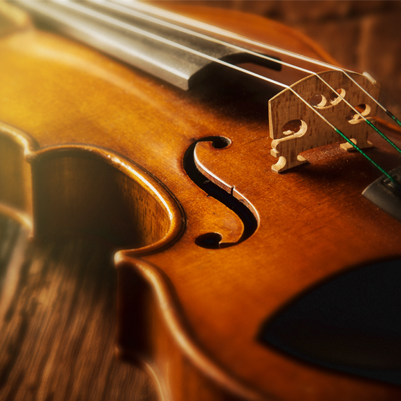 סוד העצים המוזיקליים