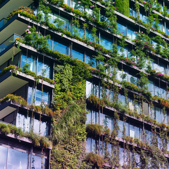 הטבע החדש של הערים