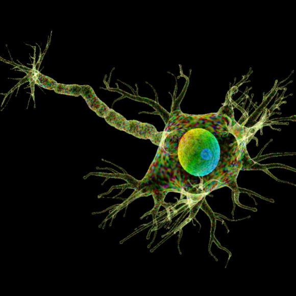 תוסף המזון שעשוי להפוך לתרופה