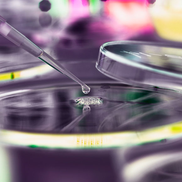 תאי גזע: הבטחה שטרם מומשה