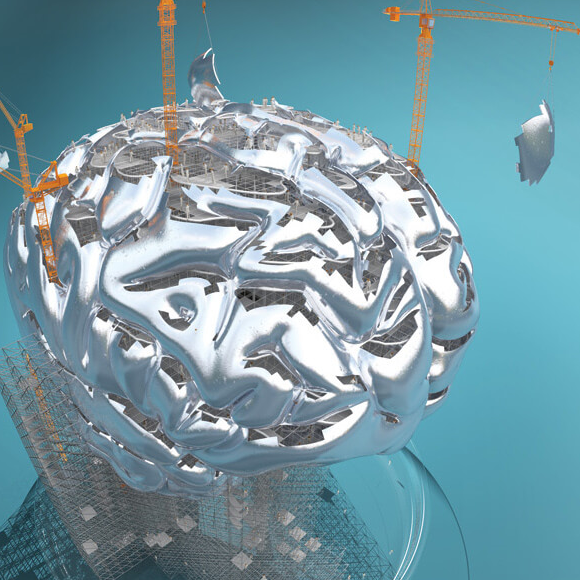 לבנות מוח במעבדה