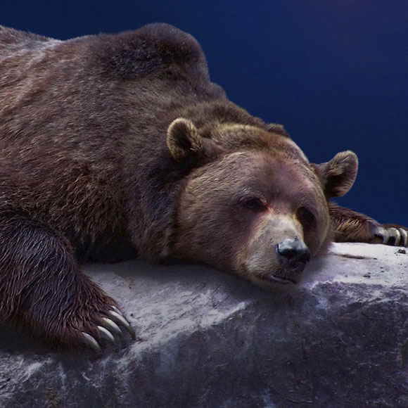 שינה מתוקה, ניפגש בקיץ