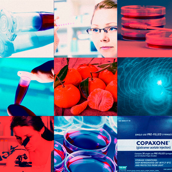 המדעניות פורצות הדרך שנשכחו