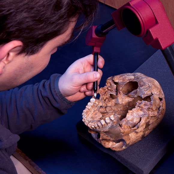 דיאטת הפליאו האמיתית