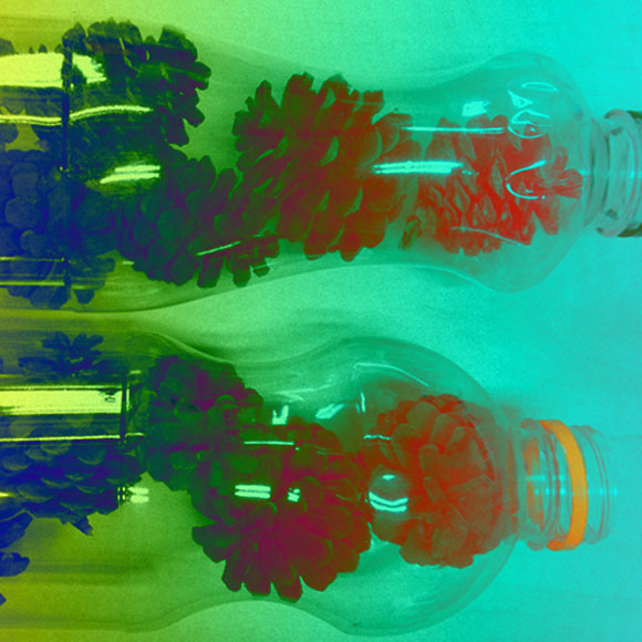 חמישה ניסויים לכבוד האביב