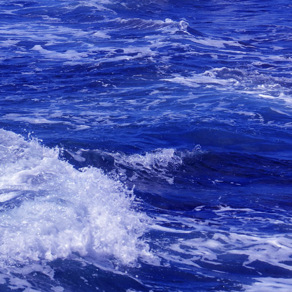 הים כבר לא מה שהיה פעם