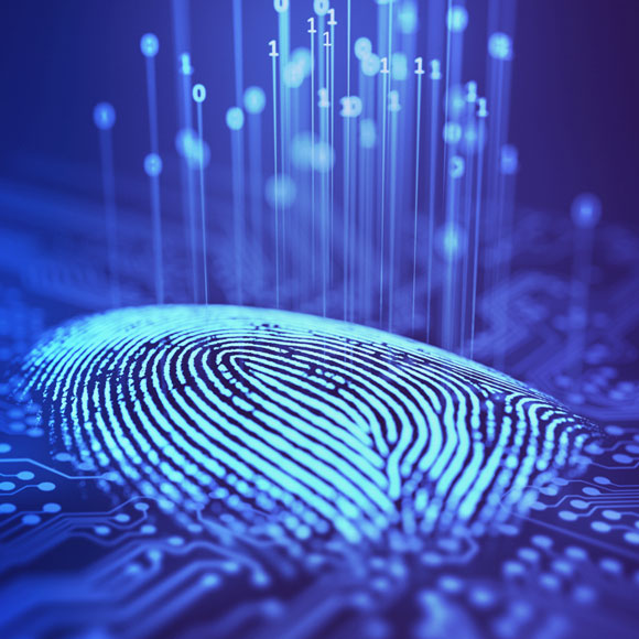 המאגר הביומטרי: נקודת מבט מדעית