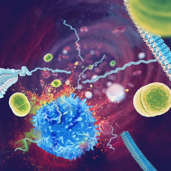 The Deadly Mechanism of Amyloids