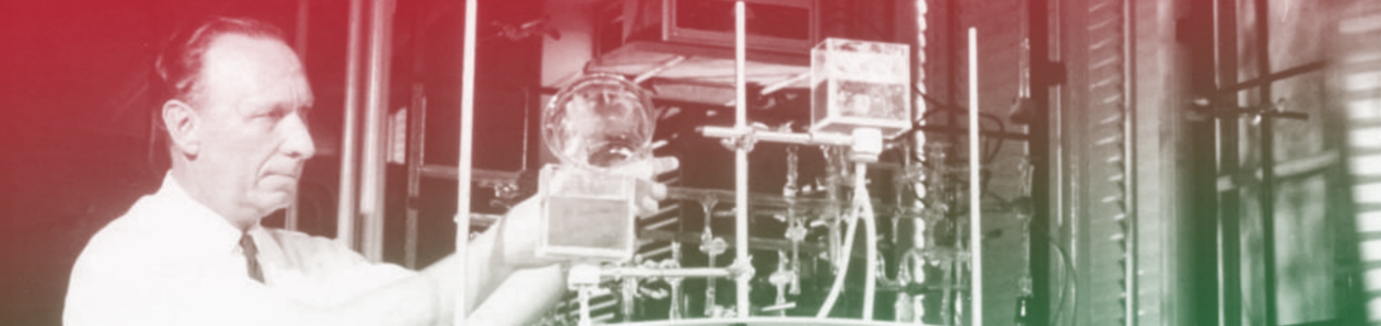 המוח המזהיר שנגדע בפיגוע טרור