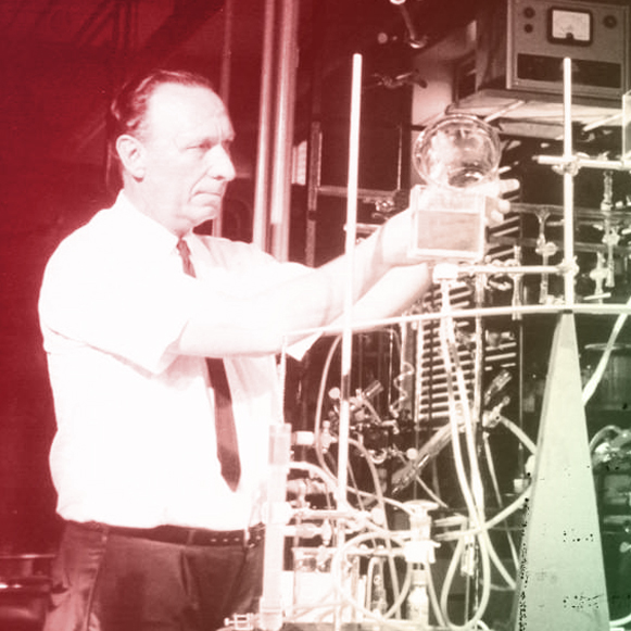 המוח המזהיר שנגדע בפיגוע טרור