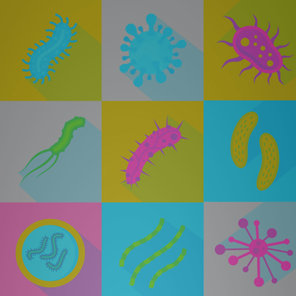 החיידק שבתוכי