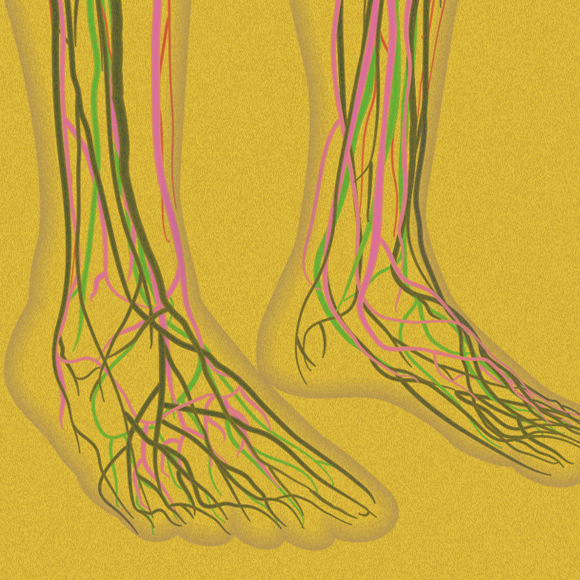 למה נרדמות לנו הרגליים?