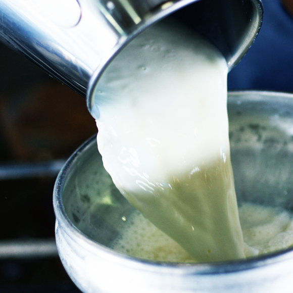 חלב על הזמן