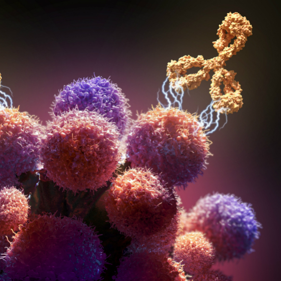 שילוב כוחות נגד סרטן