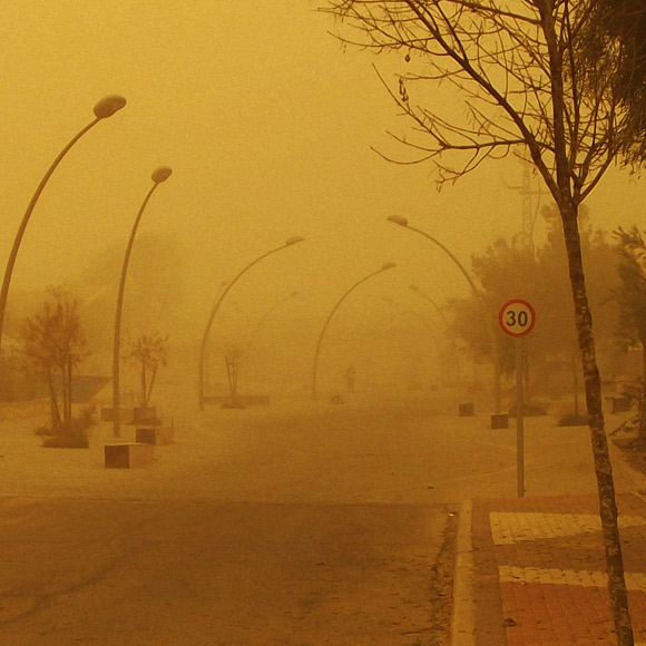 הגנטיקה של סופות האבק