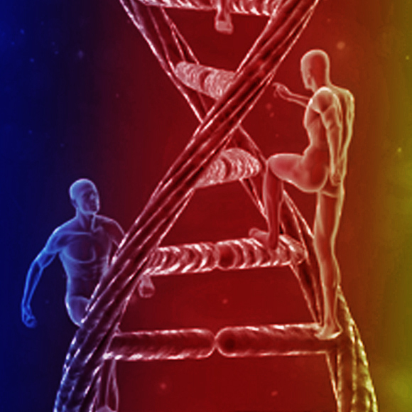 לאכול ולהתאמן דרך הגנים