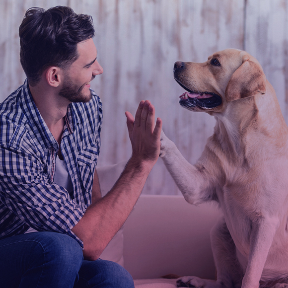 הגֵן הוא ידידו הטוב ביותר של הכלב