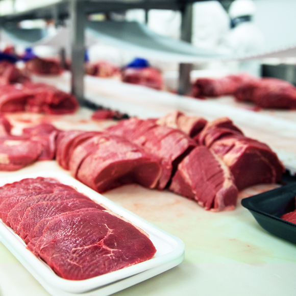 איך למנוע קיץ מזוהם?