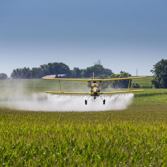 האם יש קשר בין הדברה לפגיעה בעוברים?