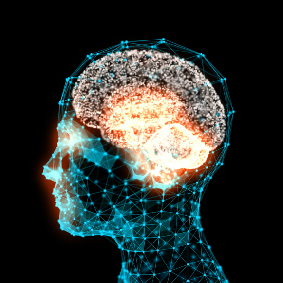 החיסון מתחיל בראש