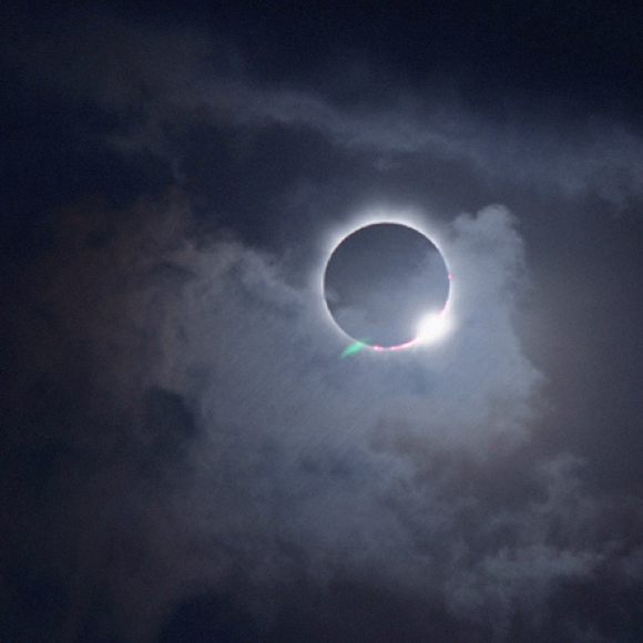 What happens to animals during a solar eclipse?