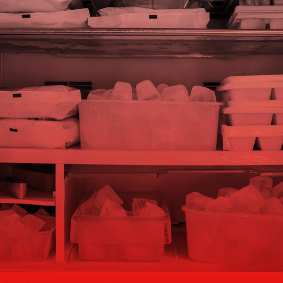 להשתיל איברים מהמקפיא