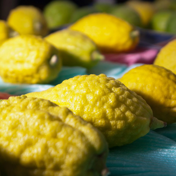 סיפור צהוב: מה זה אתרוג?