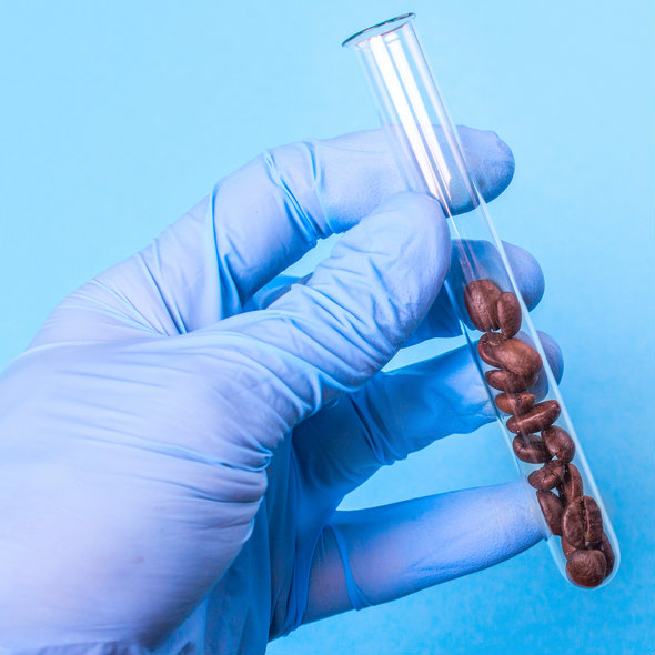 סוד הקסם של הקפה