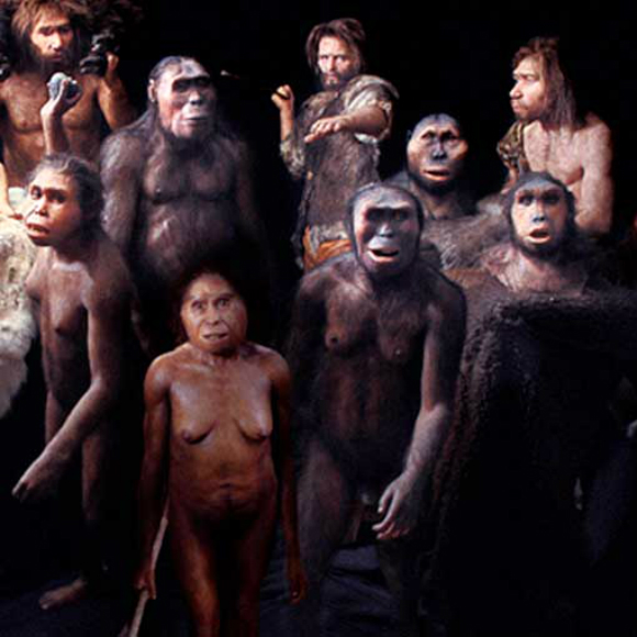 הפאזל של מוצא האדם