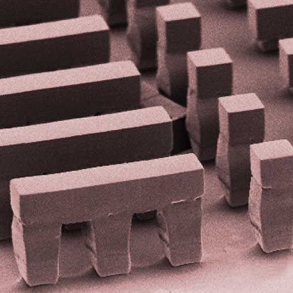 כל מנות החיסון בזריקה אחת