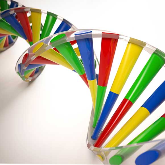 לעורר את הסקרנות הטבעית