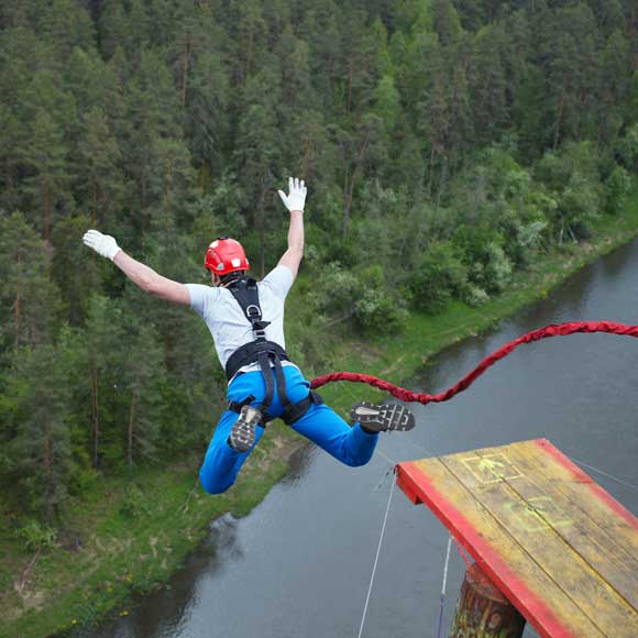 ניהול הסיכונים במוח