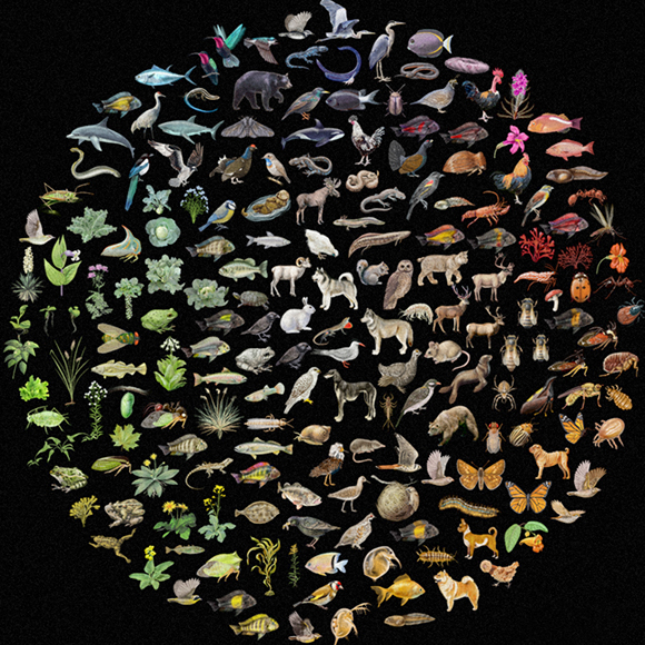 השיפורים המתמידים של הטבע