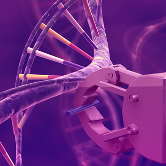 הנדסה גנטית: תיקונים מבפנים