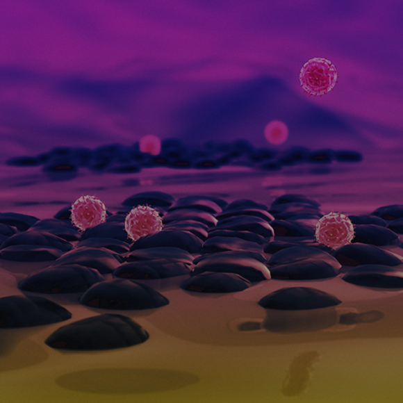 נגד עצמי: איך מתפתחת תגובה אוטואימונית?