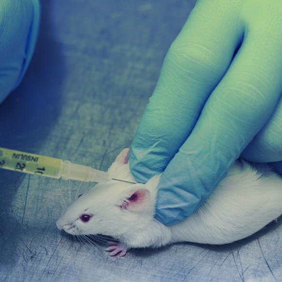 קטע-מין: האם מין החוקר משפיע על תוצאות הניסוי?