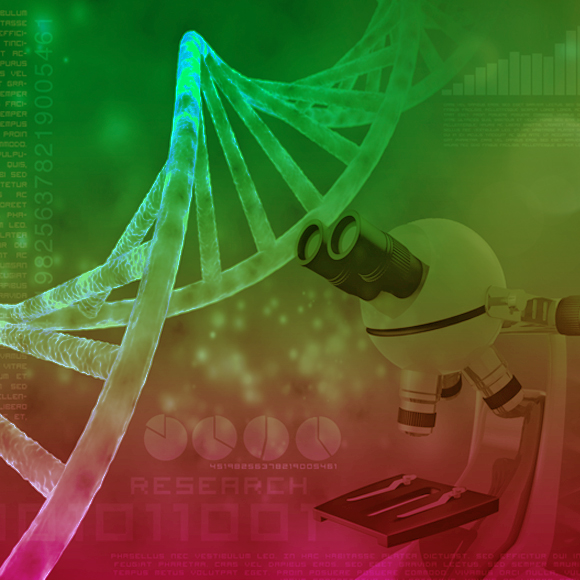 מה קורה בעולם? טריוויה מדעית, נובמבר 3