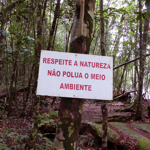 יערות הגשם ה”מזהמים”