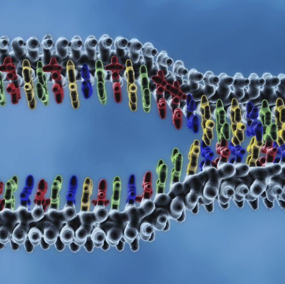 הצעד הראשון של עידן ההנדסה הגנטית