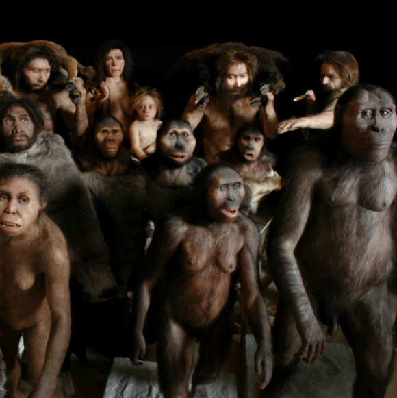 דרווין צדק – מנחם בן טועה