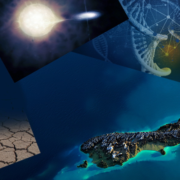 מכוכבים עד חיידקים: המדע של 2017