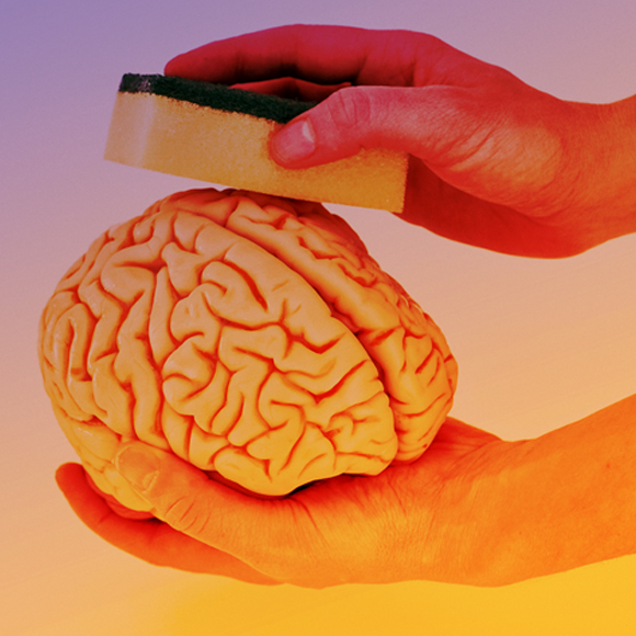 שטיפת מוח – חידון #10